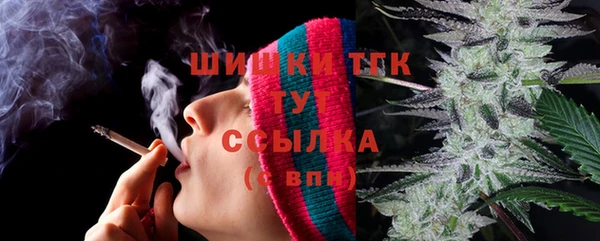 винт Гусиноозёрск