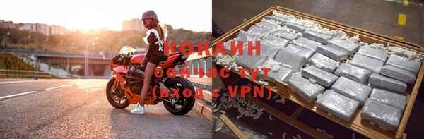 ALPHA PVP Горняк
