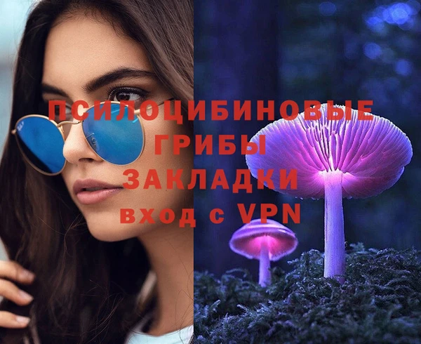 СК Гусев
