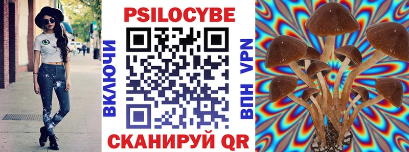 Галлюциногенные грибы мицелий Москва