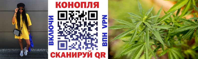 Бошки марихуана планчик  где можно купить   Москва 